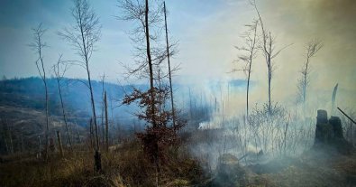 Фото – На Закарпатті рятувальники ліквідовували масштабну лісову пожежу 6 годин