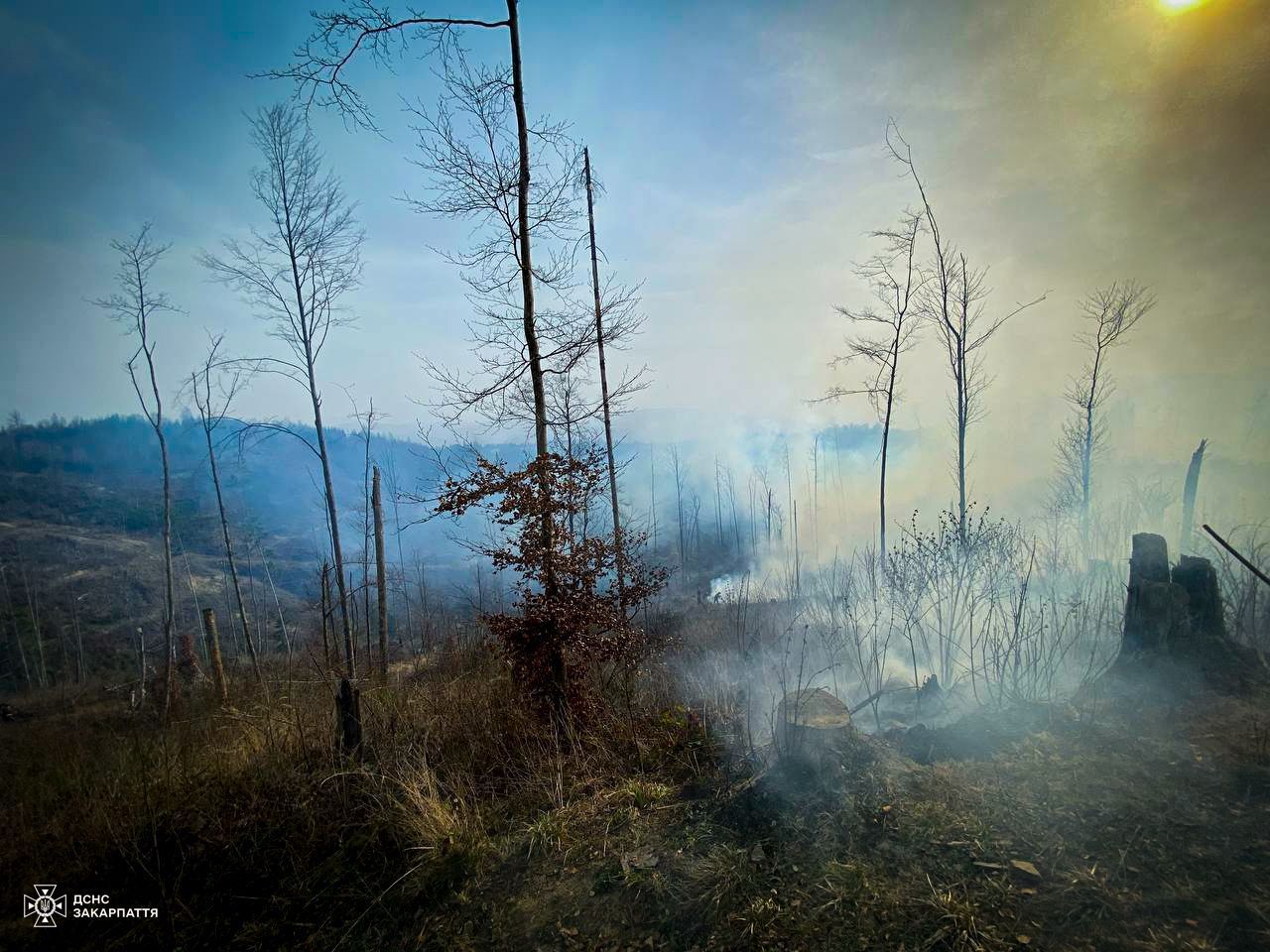 Фото – На Закарпатті рятувальники ліквідовували масштабну лісову пожежу 6 годин