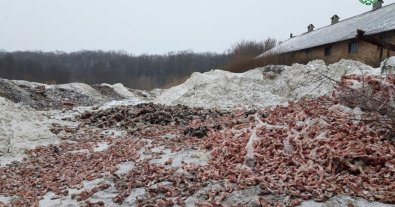 Photo – An environmental disaster is brewing in the Kyiv region due to the carcasses of dead animals