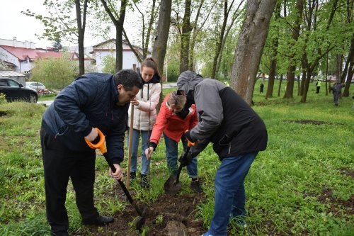 Во Львовской области за 2 месяца высадили более 5 млн деревьев