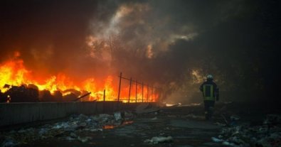 Photo – Environmental damage caused by Russian aggression in Sumy region: the amount is almost 3 billion