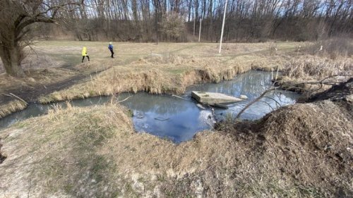 В водоемах Полтавы обнаружили загрязнение