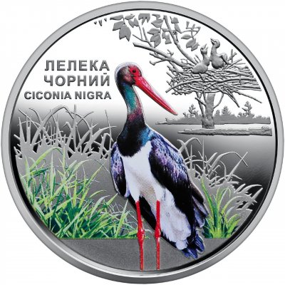 Нацбанк випустив нову ювілейну монету "Лелека чорний"