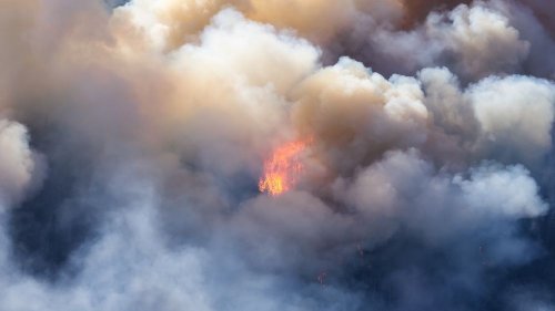 На Киевщине разрушена Трипольская ТЭС: жителей призвали закрыть окна