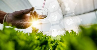 Photo – Ukraine plans to create the first production of hydrogen and ammonia from renewable energy sources