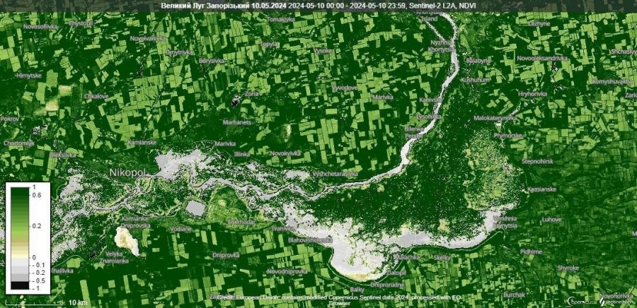 Екосистеми ложа дна колишнього Каховського водосховища відновлюються