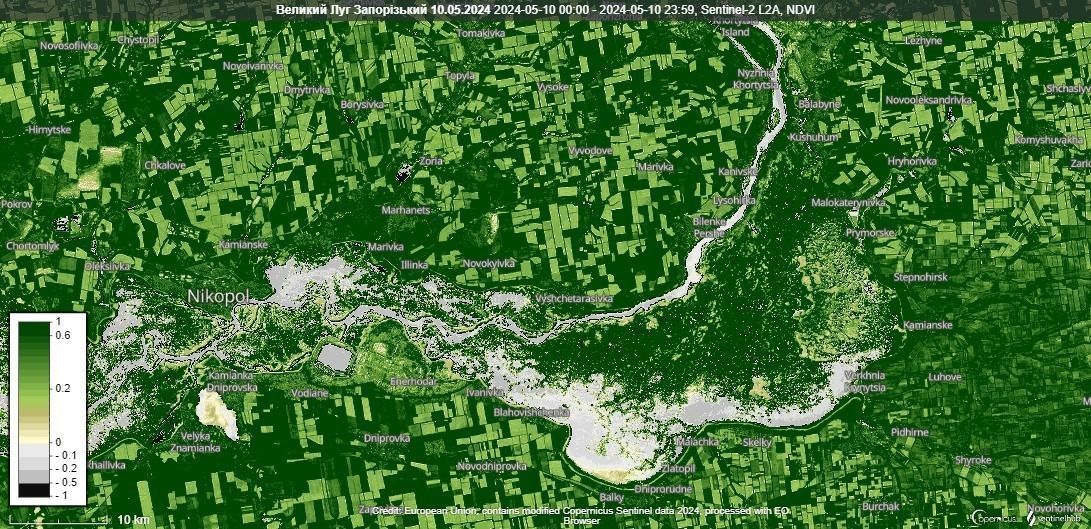 Photo – Ecosystems of the bed of the former Kakhovka reservoir are being restored