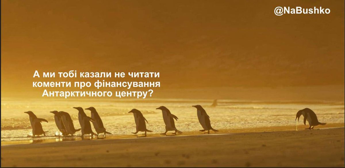 Photo – Ukraine&#039;s scandal over money for the Antarctic program: why you shouldn&#039;t breed treason. Photo 7