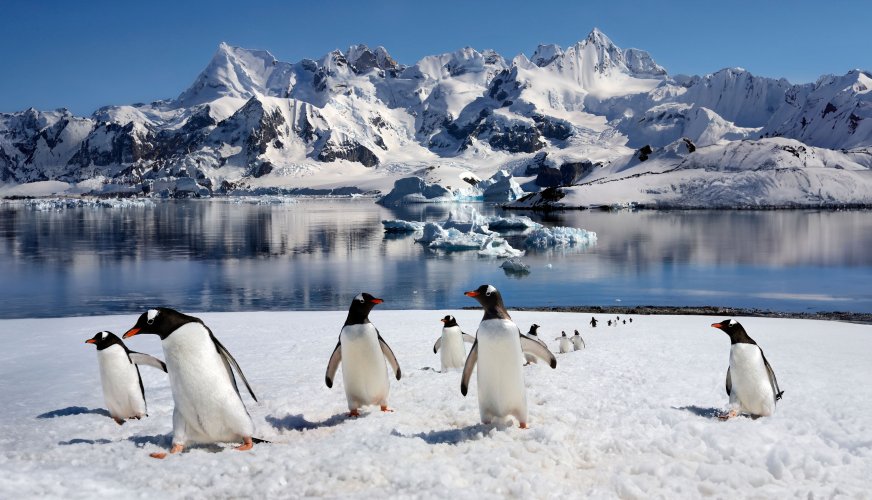 Photo – Ukraine's scandal over money for the Antarctic program: why you shouldn't breed treason