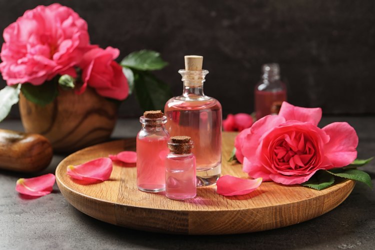 Due to climate change, the harvest season in the rose industry in Bulgaria started earlier