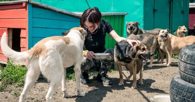 Фото – Волонтеры UAnimals рассказали, как помогают спасать животных в Харьковской области