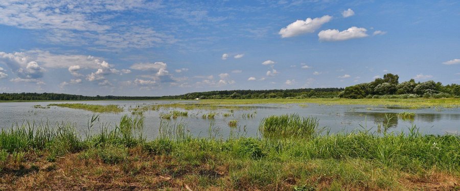 Фото – Луцька прокуратура повернула державі землі нацпарку на 485 млн грн