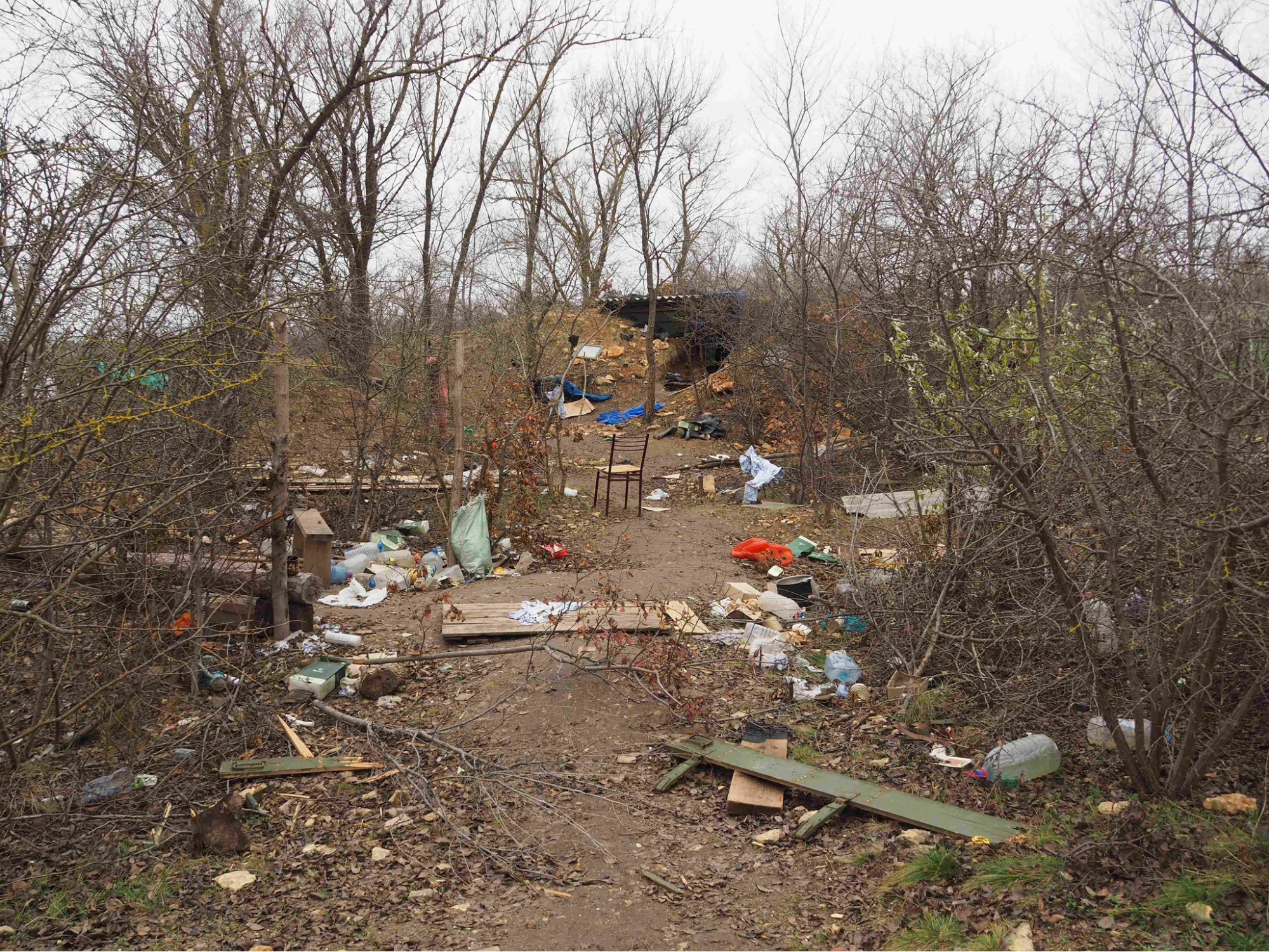 Photo – How the National Park &quot;Kamianska Sich&quot; lives now, where the front line has passed twice. Photo 2