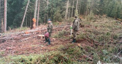 Фото – На Буковині посадовця нацпарку судитимуть за недбалість, яка коштувала державі 7 млн грн