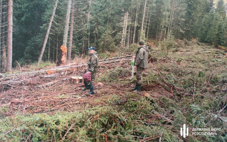 На Буковині посадовця нацпарку судитимуть за недбалість, яка коштувала державі 7 млн грн