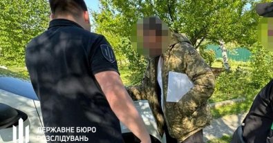 Photo – The SBI unmasked a criminal group that had cut down forests for more than UAH 4 million