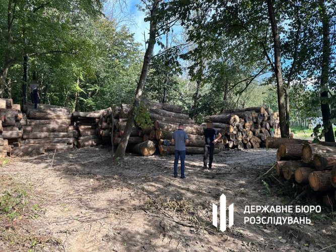 Volyn National Park director and two entrepreneurs to be prosecuted for demolition of century-oak trees
