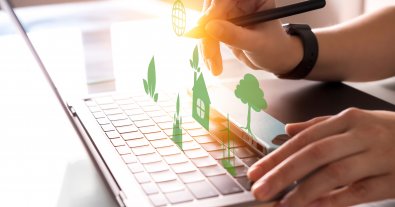Photo – The government has adopted a number of environmental decisions on timber circulation and environmental monitoring