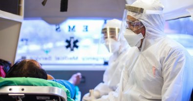 Фото – Из-за изменения климата в Европе быстро распространяется лихорадка денге