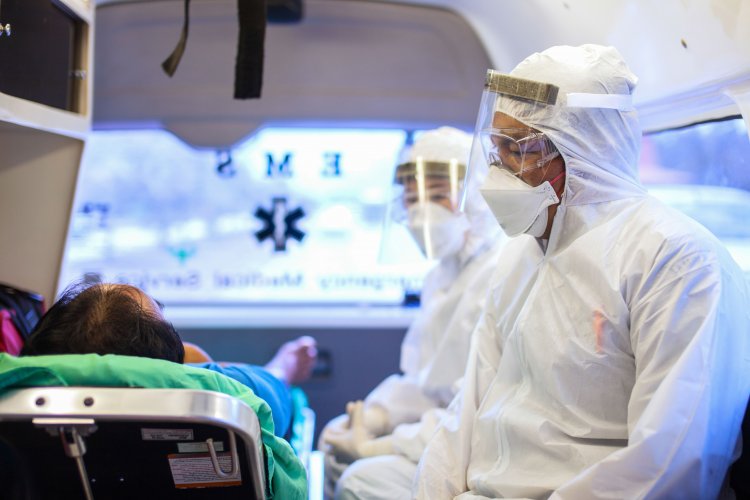 Photo – Dengue fever is spreading rapidly across Europe due to climate change