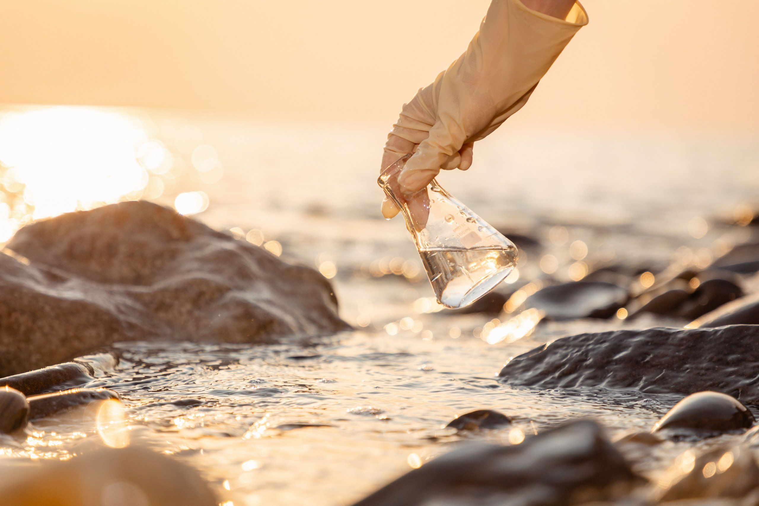 Photo – Environmentalists told whether it is safe to swim in the Black Sea