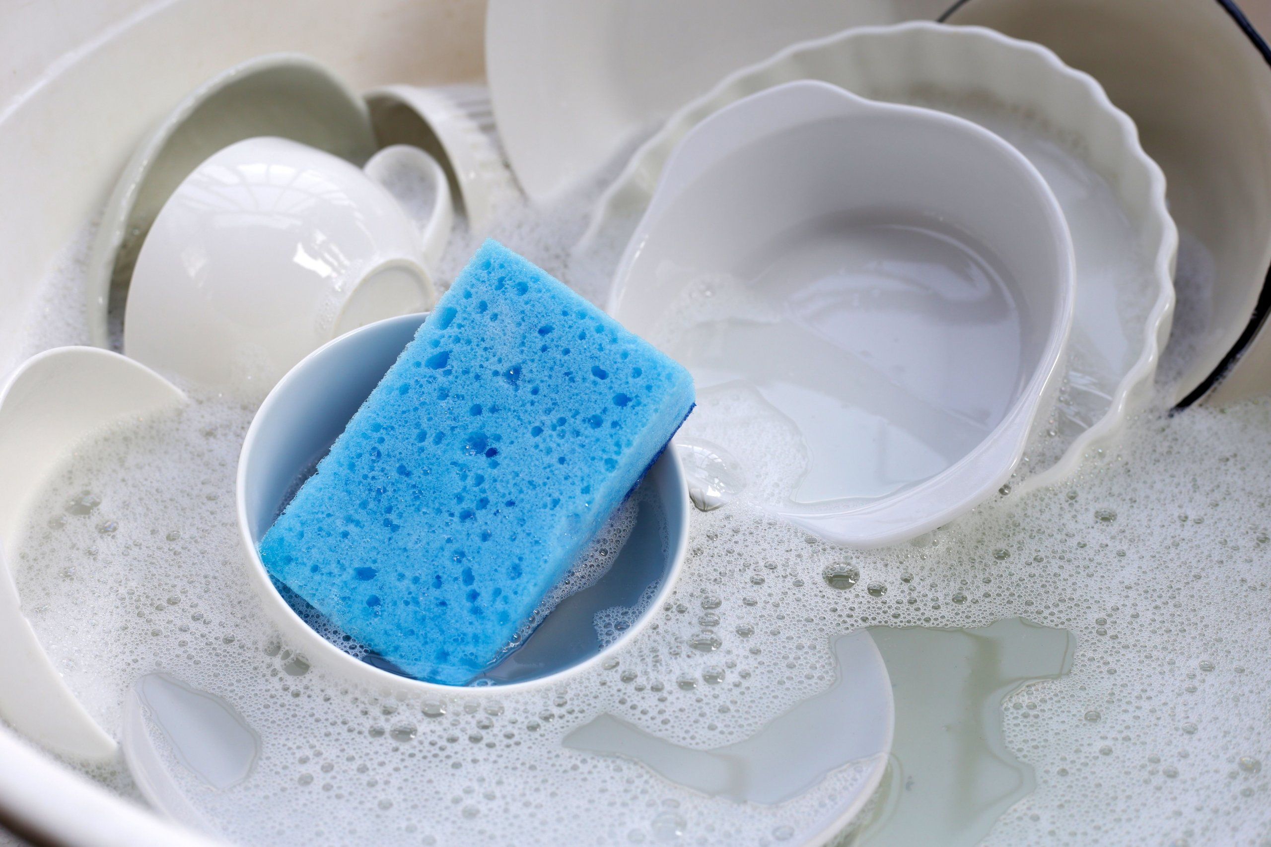 Photo – Scientists have found an unexpected source of microplastics present in every home