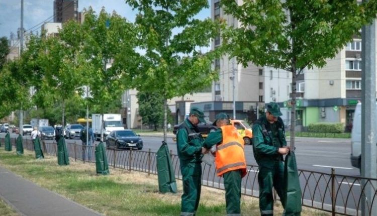 В киевских парках и скверах начали появляться специальные мешки для полива деревьев