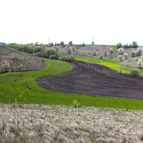 In Cherkasy region almost completely plowed the reserve "Velikosevastyanovskie ravines"