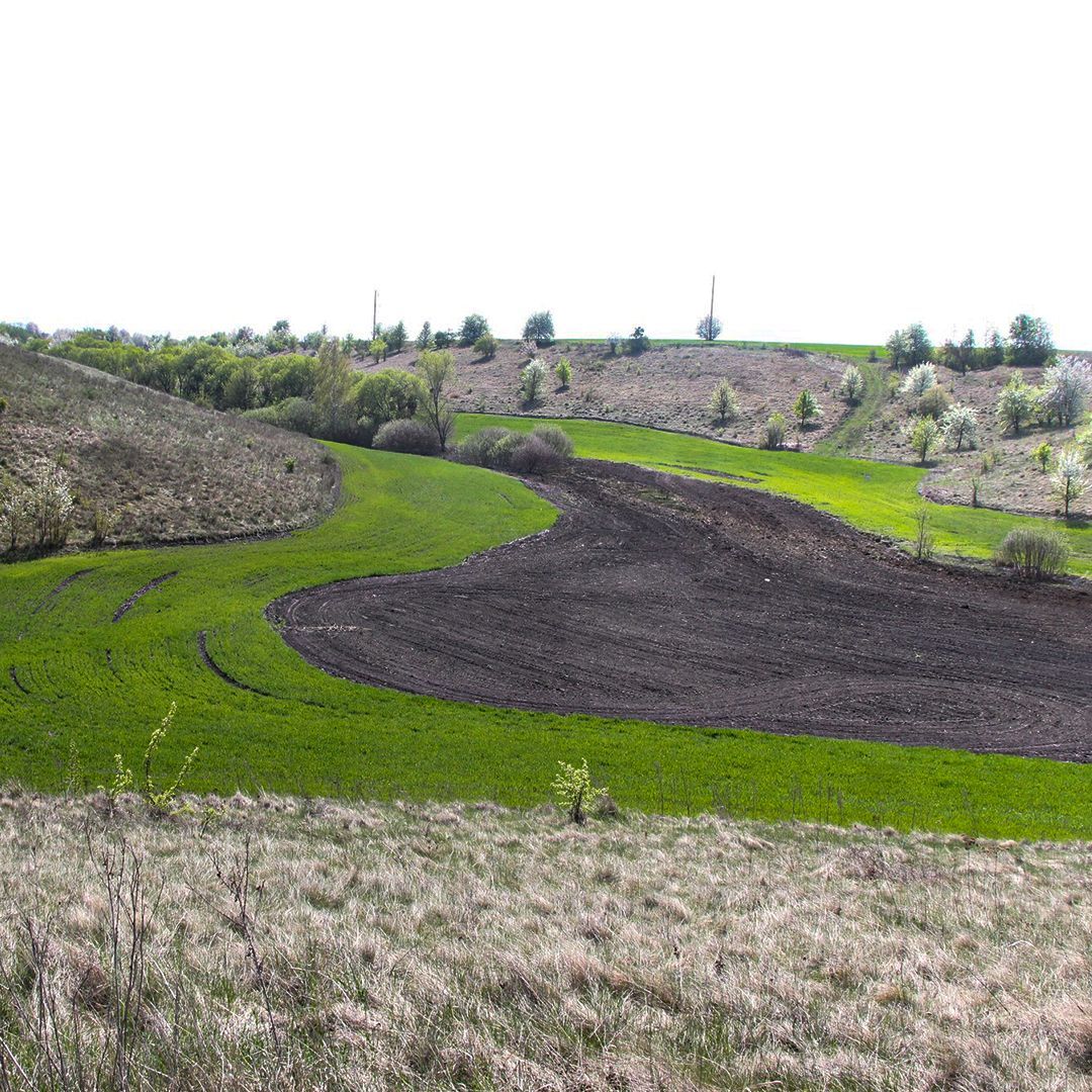 Photo – In Cherkasy region almost completely plowed the reserve "Velikosevastyanovskie ravines"