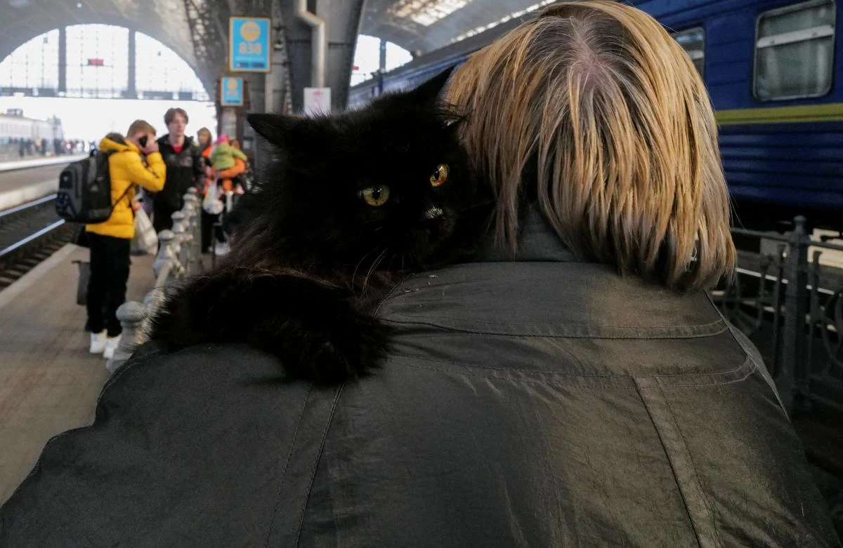 Photo – Ukrainians will transport their pets on trains under the new rules