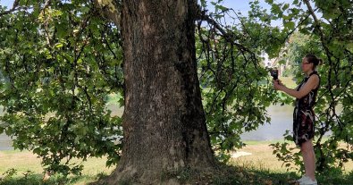 Photo – Ecologists measured the temperature of urban surfaces in the heat: the results were stunning