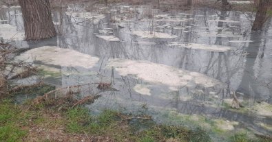 Фото – Маріуполь через байдужість загарбників потопає у нечистотах. Фото