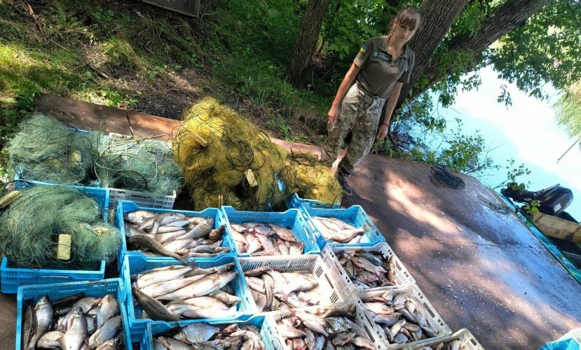 У заказнику на Полтавщині інспектори виявили в браконьєрських сітках риби на 4 млн грн