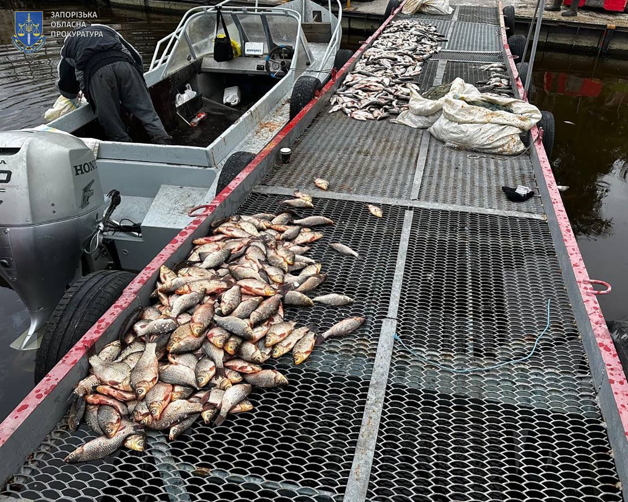 Photo – Poachers who dabbled in 3 million UAH during spawning will appear in court
