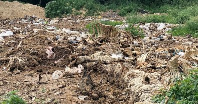 Фото – На Полтавщине предприятие устроило вблизи села свалку из остатков животных