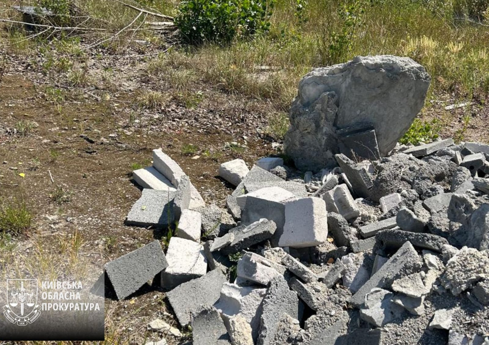 Photo – Exposed entrepreneur who for more than 2 years arranged spontaneous landfills and polluted the earth. Photo 1
