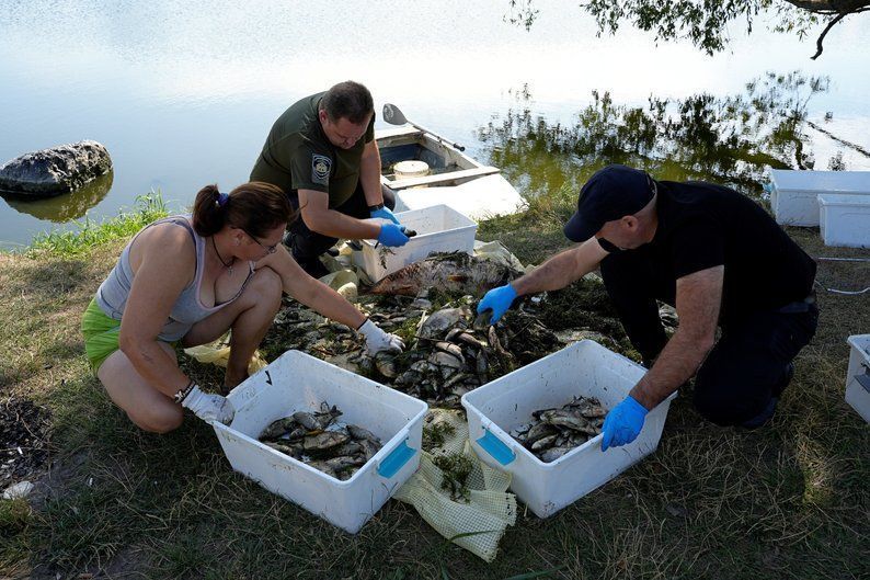 Photo – In Khroly near Kharkiv, villagers have been cleaning a pond of dead fish for the fifth day. Photo, video