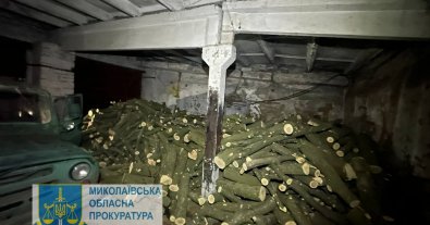 Фото – На Николаевщине будут судить полицейского, организовавшего незаконную рубку деревьев