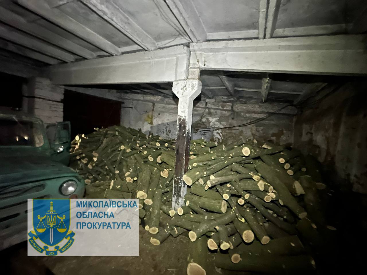 Photo – Law enforcement officer who organized illegal felling of trees to be tried in Mykolaiv region
