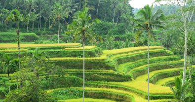 Photo – UNESCO monuments that may disappear due to global warming: named list