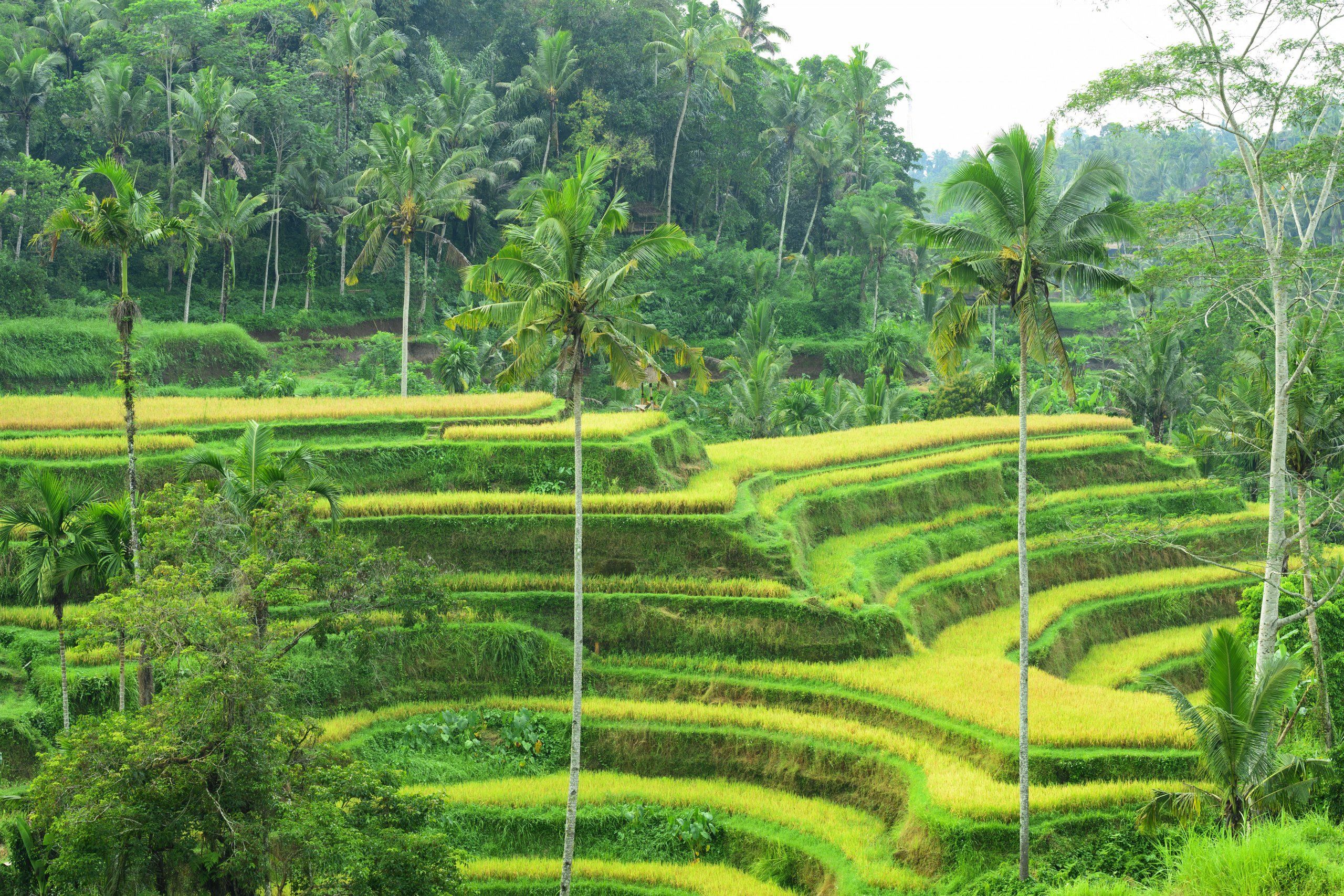 Photo – UNESCO monuments that may disappear due to global warming: named list