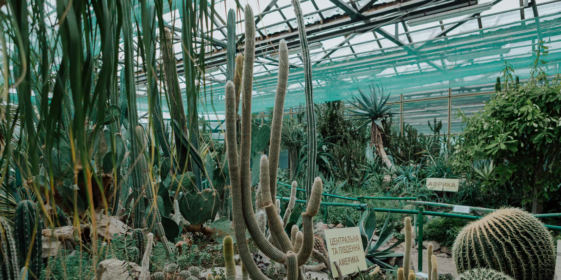 Photo – The National Botanical Garden in Kyiv may lose most of its collection due to future blackouts