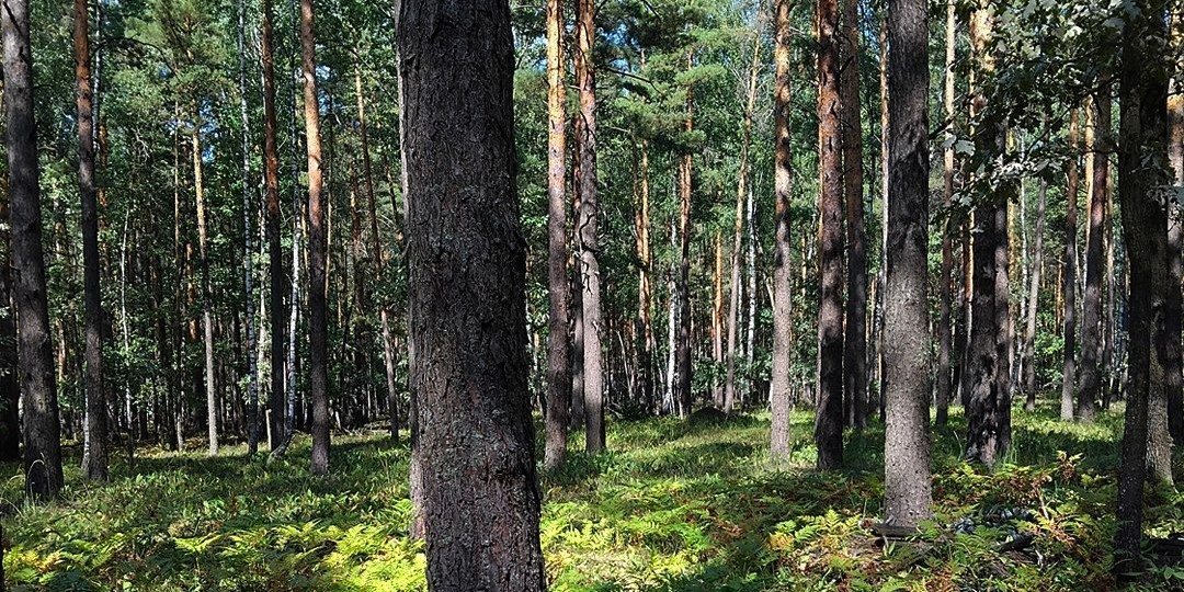 Фото – Активісти звернули увагу Міндовкілля на проблему з аукціонами на користування надрами