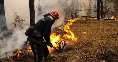 Photo – Fines for deadwood arsonists may increase to UAH 25 thousand: draft law registered