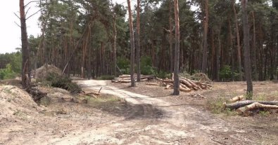 Фото – Община Харькова протестует против вырубки их леса под карьер. Видео