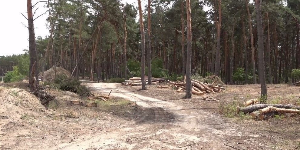 Фото – Громада Харкова протестує проти вирубки їхнього лісу під кар’єр. Відео
