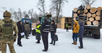 Фото – На Чернігівщині організована злочинна група нарубала дерев на понад 11 млн грн