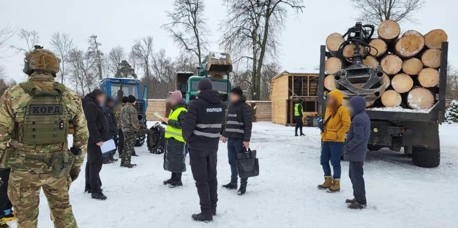 Photo – An organized criminal group cut down trees worth over UAH 11 million in Chernihiv region