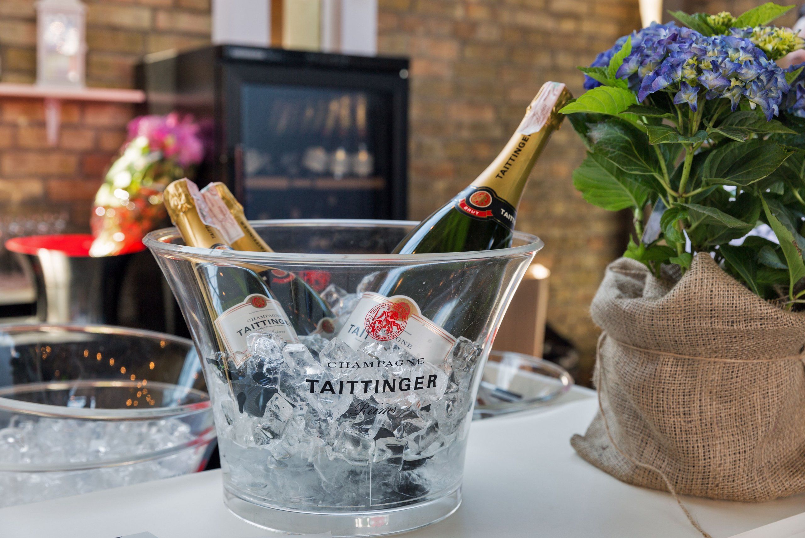 Photo – Climate change allows French champagne producer to open a vineyard in England