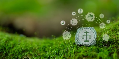 Естонія віддасть Україні виручені через СТВ €1 млн